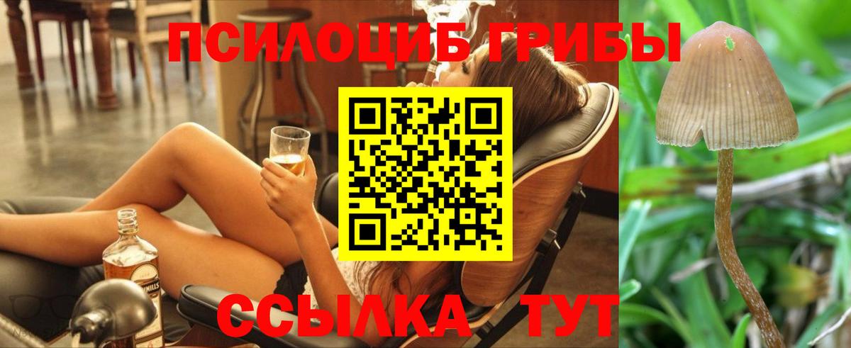 Галлюциногенные грибы ЛСД Зеленокумск
